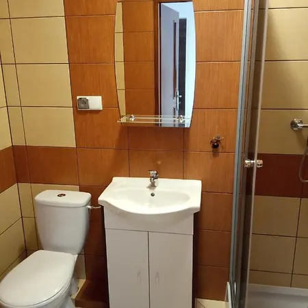 منزل للإقامة Gosciwita *