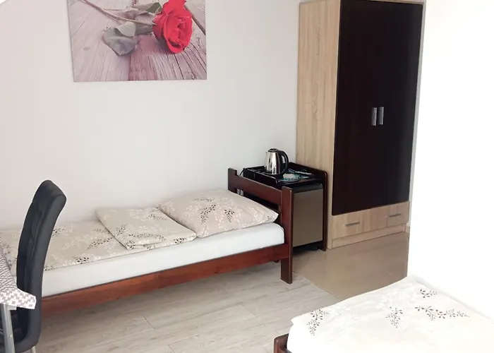 Gosciwita Władysławowo